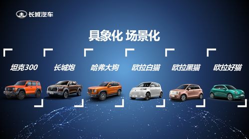 傅小康談長城汽車品牌增肌 一場由內而外的自我革命