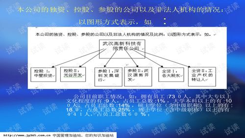 武漢市XX科技開發(fā)有限責任公司商業(yè)計劃書